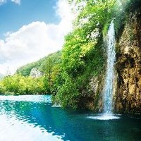 robert williams (@lrf2016) 's Twitter Profile