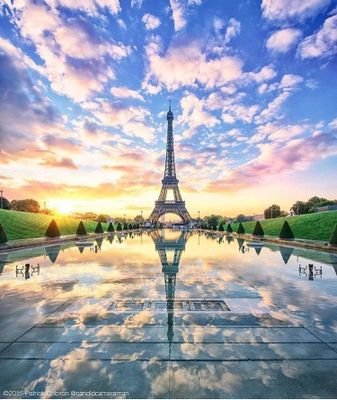 galaxidd's profile picture. 