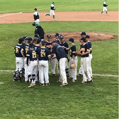 Whitmer Baseball Profile