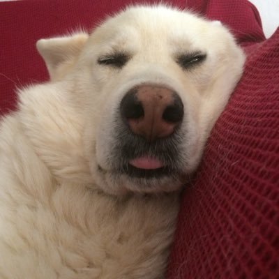 kirstihaines's profile picture. artist and miniature maker