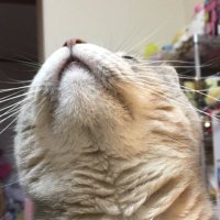 まさまさ (@gp1234stojkovic) Twitter profile photo