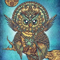 OWL (@_o__w__l__) 's Twitter Profile Photo