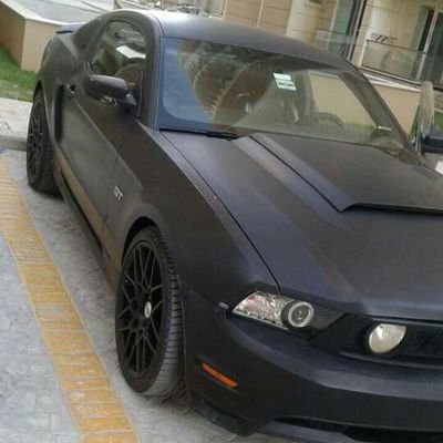 58738205ae5a483's profile picture. 