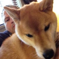 Will Parnell (@parnellwwill) 's Twitter Profile