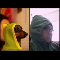 McDeePee (@dpaz) 's Twitter Profile