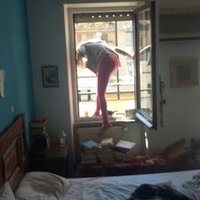 teresa numerico (@numeteris) 's Twitter Profile