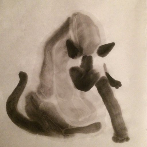 Sumi_e Donさんのプロフィール画像