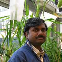 ANTONY CEASAR S (@antonyceasar) 's Twitter Profile