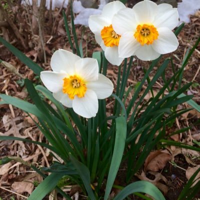 wiggner_sally's profile picture. 