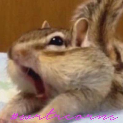 chipmunkofpower Profile Picture