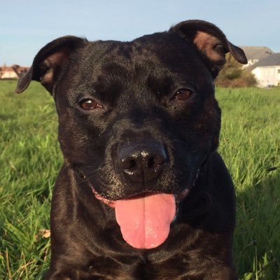 lisajbaileygsy's profile picture. 