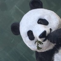 湯豆腐 (@kurage_douhu) 's Twitter Profile Photo 湯豆腐 (@kurage_douhu) 's Twitter Profile Photo