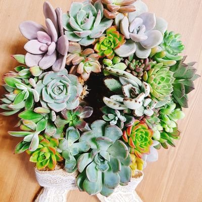 AliceLoveRy's profile picture. 평범한 두아이 엄마의 행복일기