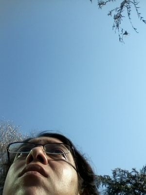 geethi1's profile picture. look for changes  and sensitivity  towards green issues,