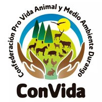 ConVida Durango(@ConvidaDurango) 's Twitter Profile Photo