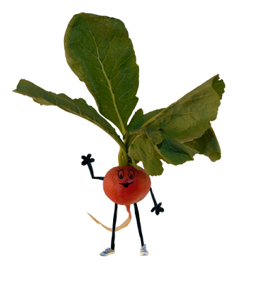 rogueradish's profile picture. I use only my own photography and designs to create small items that will add a little bit of art into everyday life.