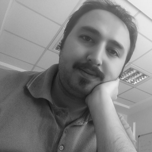shirindeli's profile picture. Android Developer
