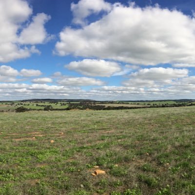 lauracs0603's profile picture. Food and sarcasm are my forte