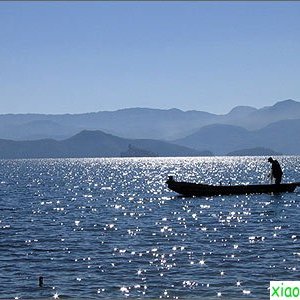 guenterli98's profile picture. 