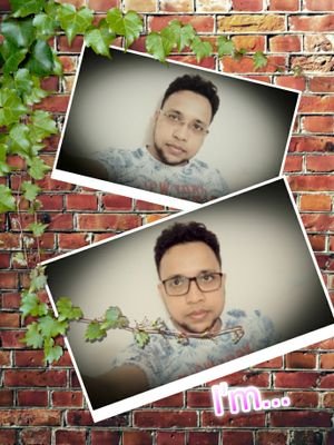 maachisti1's profile picture. 