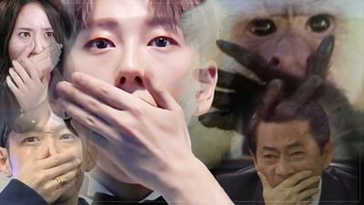 iilliililiillil's profile picture. 연뮤계정인데 이제 기저에 노태현이 있는