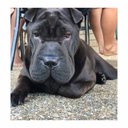 Katrina Paul - @Katrina00996828 - Twitter