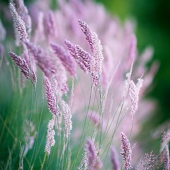 ga_melnikova's profile picture. 