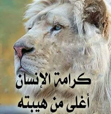 ‏‏‏شاب يمني وسيم ابيض عمري30  ابحث عن زوجه بكر لايهم العمر اومعاقه.عادي من أي جنسيه في جده اومكه