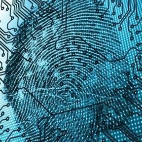 Security Analyst, Penetration Tester, Network Security