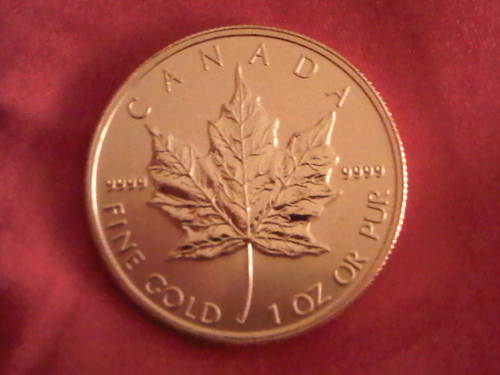 CrazyFkr's profile picture. 