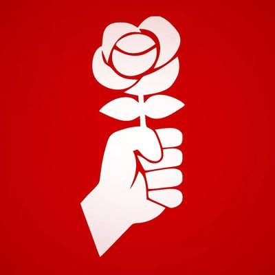 Féministes, écologistes et anti-capitalistes ✊🌹En allemand : @JusoSchweiz