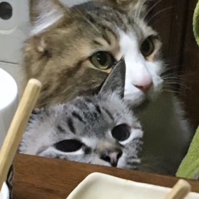 バイナリー始めた大学生。目標は学費を稼ぐこと。投資関係をフォローして行きます。無言でごめんなさいm(_ _)m