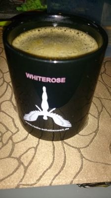 RosSchattenwelt's profile picture. Hauptansprechpartner von Radio Schattenwelt