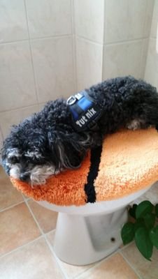 andrease59's profile picture.