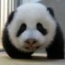 utar1234 (@utar1234) Twitter profile photo utar1234 (@utar1234) Twitter profile photo