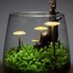 ãã®ããªãŠã @é»åæžç±ççºå£²äž (@kinocorium) Twitter profile photo ãã®ããªãŠã @é»åæžç±ççºå£²äž (@kinocorium) Twitter profile photo