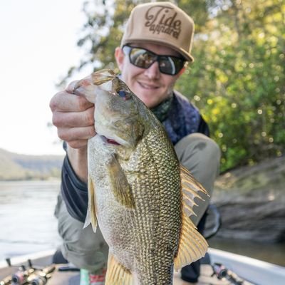 Just an Aussie fisherman trying to make a living!