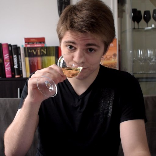 LeSommofficiel's profile picture. #Sommelier, #Winelover et #Youtubeur ! Vidéos et tweets pour découvrir, mieux déguster, et plus apprécier le jus de raisin.