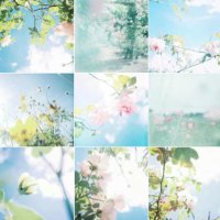 琳 (@rinlove86) Twitter profile photo