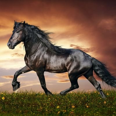 EmeraldLi68's profile picture. 