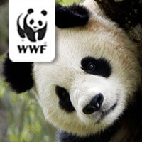 Der Panda ist umgezogen. Bitte folgt uns nun hier: @WWF_Deutschland.