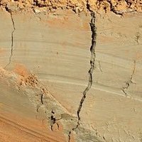 Die Lehmschicht (@lehmschicht) 's Twitter Profile