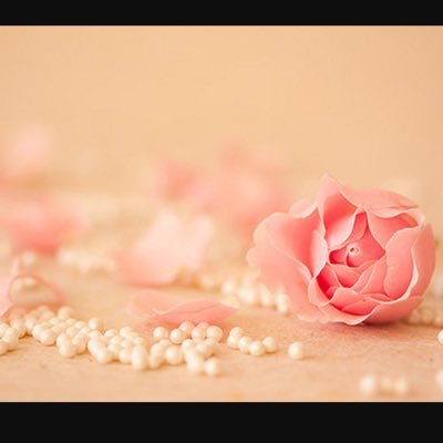 shantelLeigh's profile picture. 