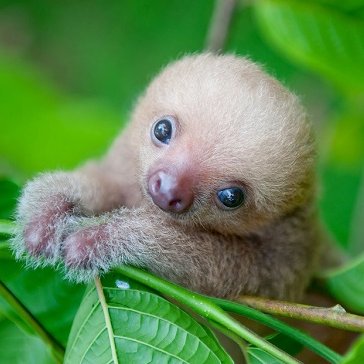 x_crofty_x's profile picture. 