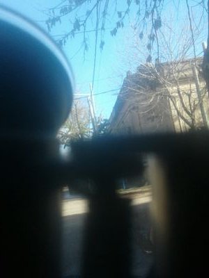 danielh61446675's profile picture. 