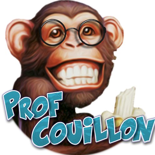 Sur ma chaine Youtube, je donne des cours en informatique pour débutants (Word, Excel, Windows, Mac...), de façon complètement