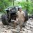 Cactus897's profile image