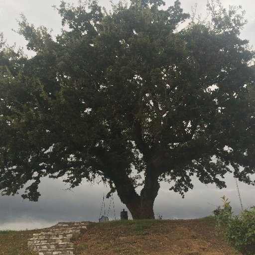 CitizUnSkyNet's profile picture. #CitizensUnited for Coming AICorp Singularity w #Dark$ #Corp$ & Out of District$ to #CONG. Follow Back or report to #FEMA Eugenics Center. I'll Be Back U MayNot