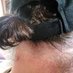 Gerry rattigan (@soundedge) Twitter profile photo Gerry rattigan (@soundedge) Twitter profile photo