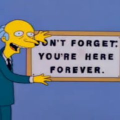 NotUsingThissx's profile picture. not